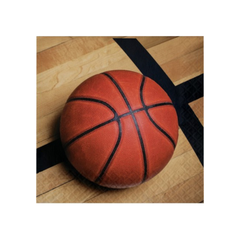 Basketball Fanatic Napkin cm33x33 16pcs