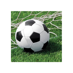 Tovagliolo Calcio Fanatic cm33x33 16pz