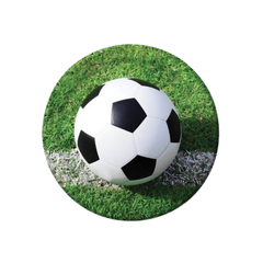 Football Fanatic Paper Plate cm23 pcs8