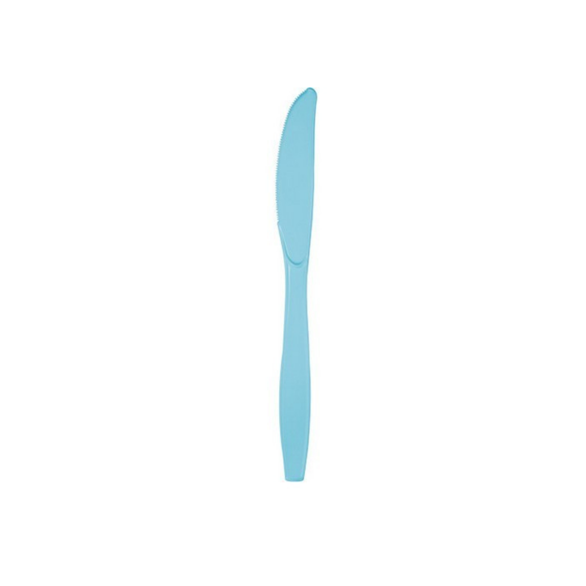 Coltello Plastica Tinta unita Celeste cm17 pz24