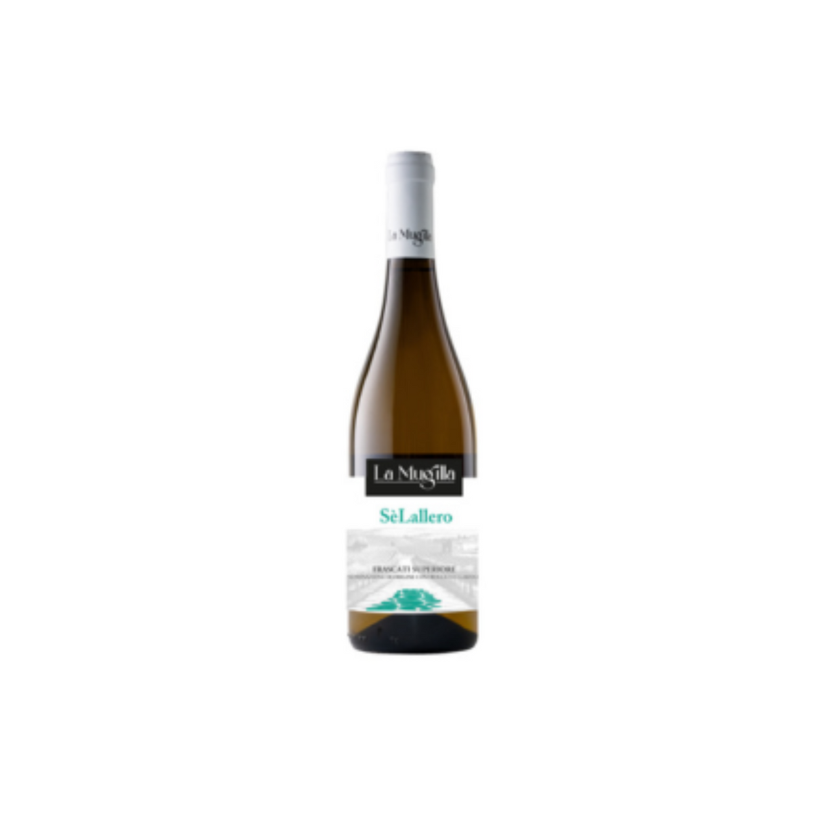 Vino Bianco "SèLallero" La Mugilla Frascati Superiore DOCG 2024 Ml750