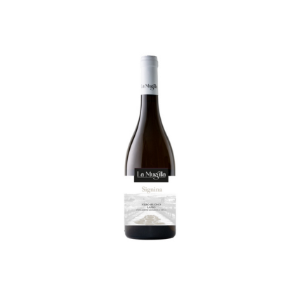 Vino Rosso "Signina" La Mugilla Nero Buono Lazio IGT 2022 Ml750
