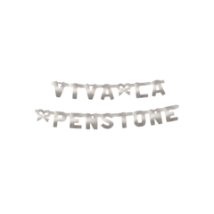 Festone "W la pensione" XL Argento metallizzato cm240x15 pz1